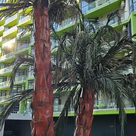 Luxury Pool & Prima Linie La Mare Apartment Navodari